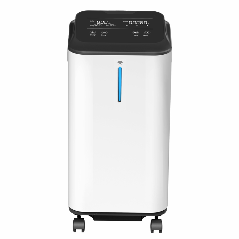 China ZY-5ZW Hot Sale CE Approved Oxygen Concentrator big Power